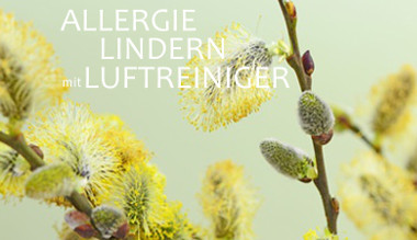 Luftreiniger Allergie