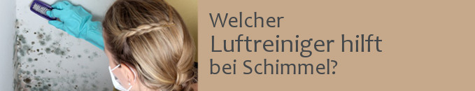 Luftreiniger gegen Schimmel