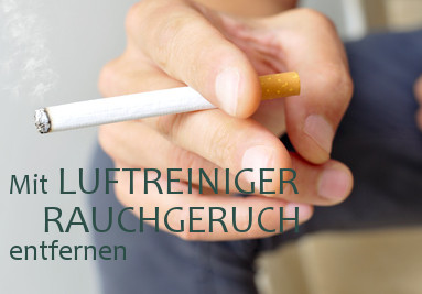 Luftreiniger Zigartettenrauch