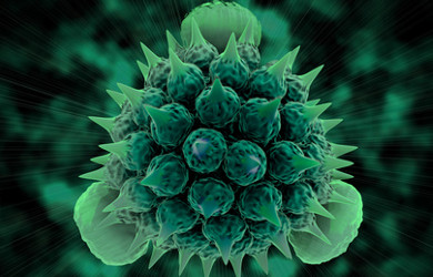 Luftreiniger Pollen